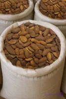 بادام درختی افغان