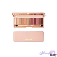 پالت سایه berry شیگلم