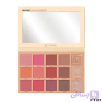 پالت صورت ۱۵ رنگ CTF001 کارکتر | Character Color Theory 15 Color Face & Cheek Palette CTF001