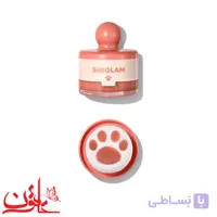 رژگونه پنجه گربه ای شیگلم برنین آپ 404