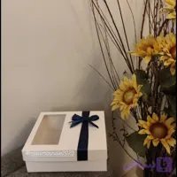 باکس دفاع دانشجویی