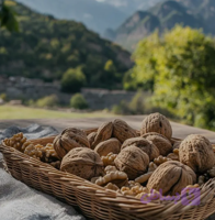 گردو با پوست معمولی