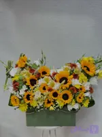 باکس آفتاب گردان