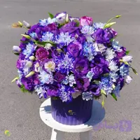 باکس گل نلیسا