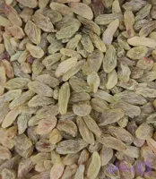 کشمش سبز کاشمر اعلا خشکبار درجه یک