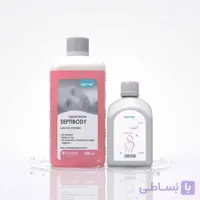 سپتی بادی