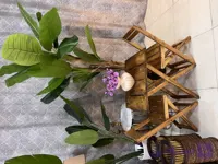 میز و صندلی چوبی دونفره