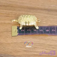 لاکپشت برنزی