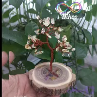 درختچه سیترین با پایه چوبی