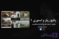 فایل لایه باز ریلز و استوری ودینگ
