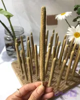 گل یاس