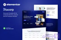 قالب آماده سایت دیجیتال مارکتینگ-Blucorp