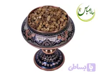 توت شاندیز نقلی