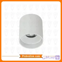 چراغ سقفی استوانه ای 12 وات شعاع کد SH-ML1012R