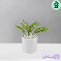 آگلونما برفی کد 101