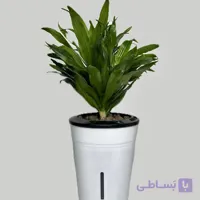 کامپکت هیدروپونیک