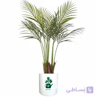 اریکا گلآرون