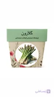 بذر مارچوبه