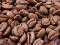 قهوه فول کافئین 100 روبوستا 1کیلوگرم
