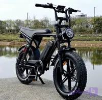 دوچرخه برقی ویند هورس مدل V8pro