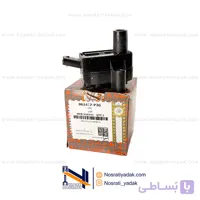 کوئل تکی شاهین سایپایدک