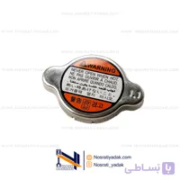 درب رادیاتور ریو ۱.۱ کره