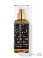 بادی میست تراول سایز بث اند بادی ورکس into the night