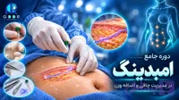 دوره آموزش امبدینگ در مدیریت چاقی