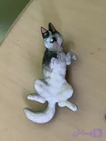 فيگور هاسكى