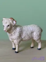 فيگور ببعى