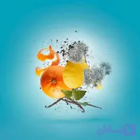زرجف ارباپورا Xerjoff Erba Pura