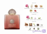 ادکلن آمواج گایدنس | Amouage guidance perfume