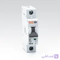 کلید مینیاتوری 1 پل 6 کیلوآمپر DC تیپ B رعد الکتریک (کارتنی)