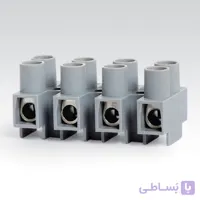 ترمینال شاخه ای 12 خانه سایز 16 رعد الکتریک B16/12 (کارتنی)