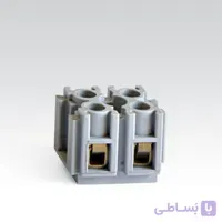 ترمینال شاخه ای زوجی سایز 6 رعد الکتریک RMT (کارتنی)
