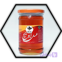 عسل دنا 330 گرمی