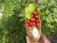 اردور خوری استیل طلایی