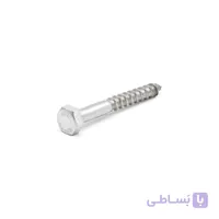 پیچ مانع