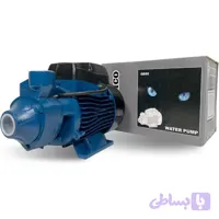 یک اسب محیطی ونیکو