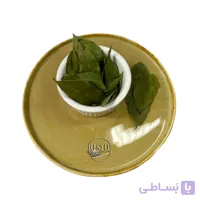 برگ بو