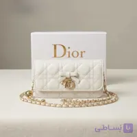 مینی بگ دیور Dior Mini Bag