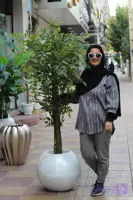 درختچه مصنوعی بنجامین، تنه چوب طبیعی با خزه سبز، برگ ریز پر تراکم، 170 سانت