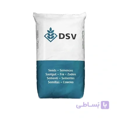 بذر چمن لولیوم پرنه ترف گلد DSV