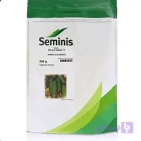 بذر خیار N 2