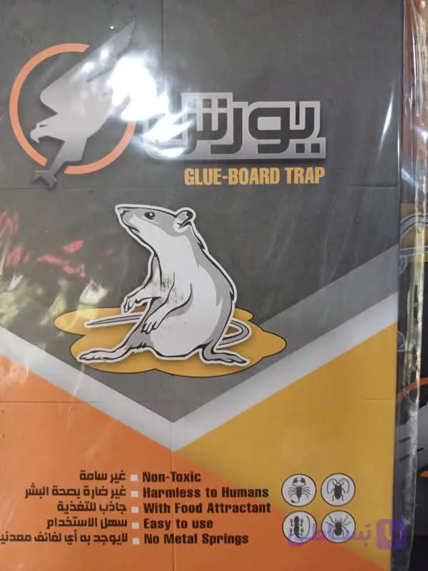 چسب موش یورش