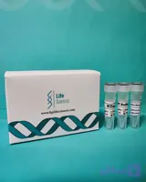 کیت سنتز cDNA synthesis kit | cDNA