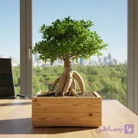 گلدان مستطیلی چوبی ترموود متوسط دو ردیف M50