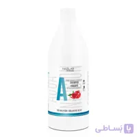 شامپو آبرسان انار سالرم