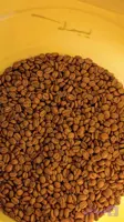 قهوه ۱۰۰٪ عربیکا کلمبیا اسپشیالتی پابلوکافی – عطر و طعم خاص از مزارع ارتفاع بالا