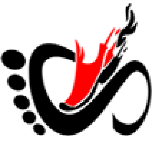 سلین شوز